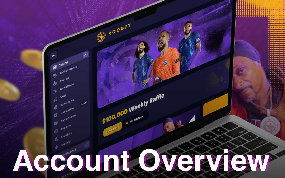 the functionality of the Roobet website
