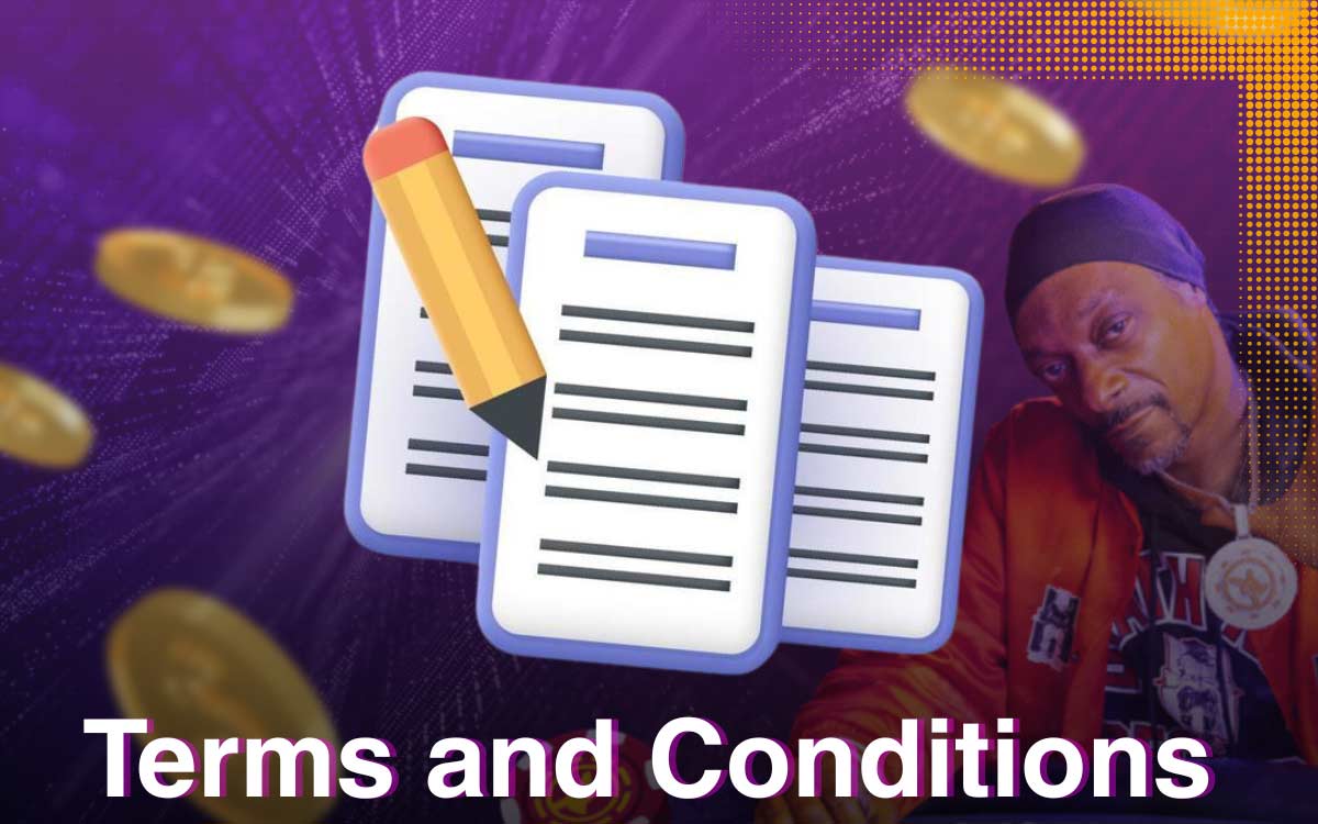 Roobet bonus terms and conditions