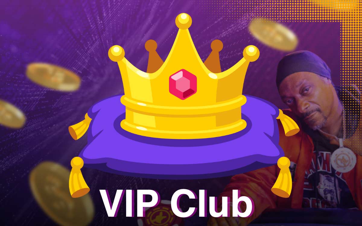 Loyal Roobet users become members of the VIP Club program